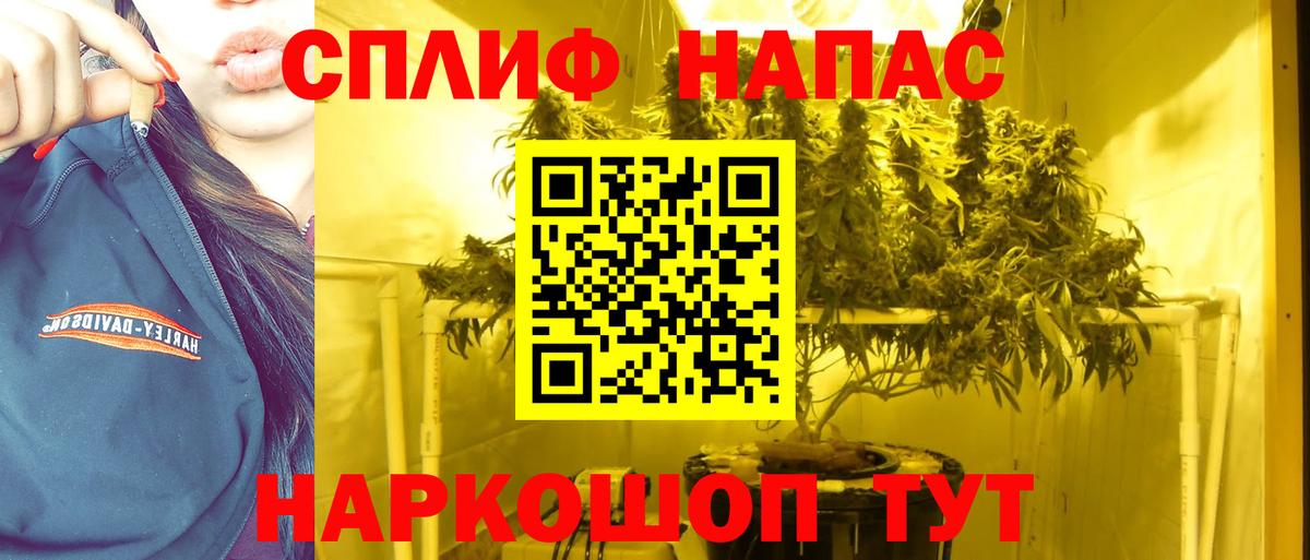 Бошки марихуана Amnesia Советский